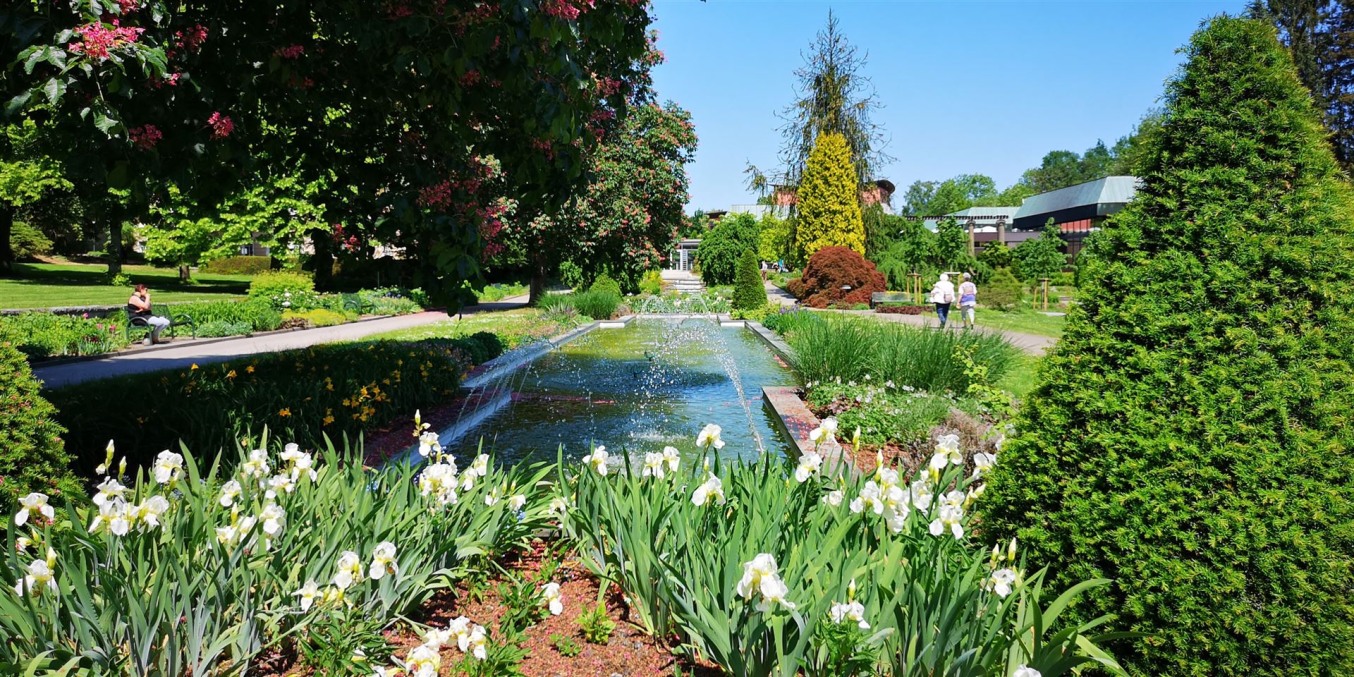 Bild im Kurpark bei Sonne und Blumen neben den Wasserspielen