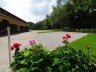 Einfahrt mit Blumen an der Remise